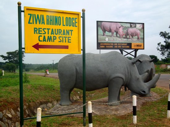 1 day Ziwa rhino trekking safari