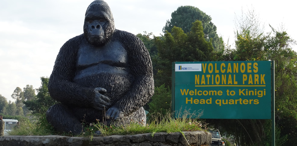3 days Rwanda gorillas and Dian Fossey hike 