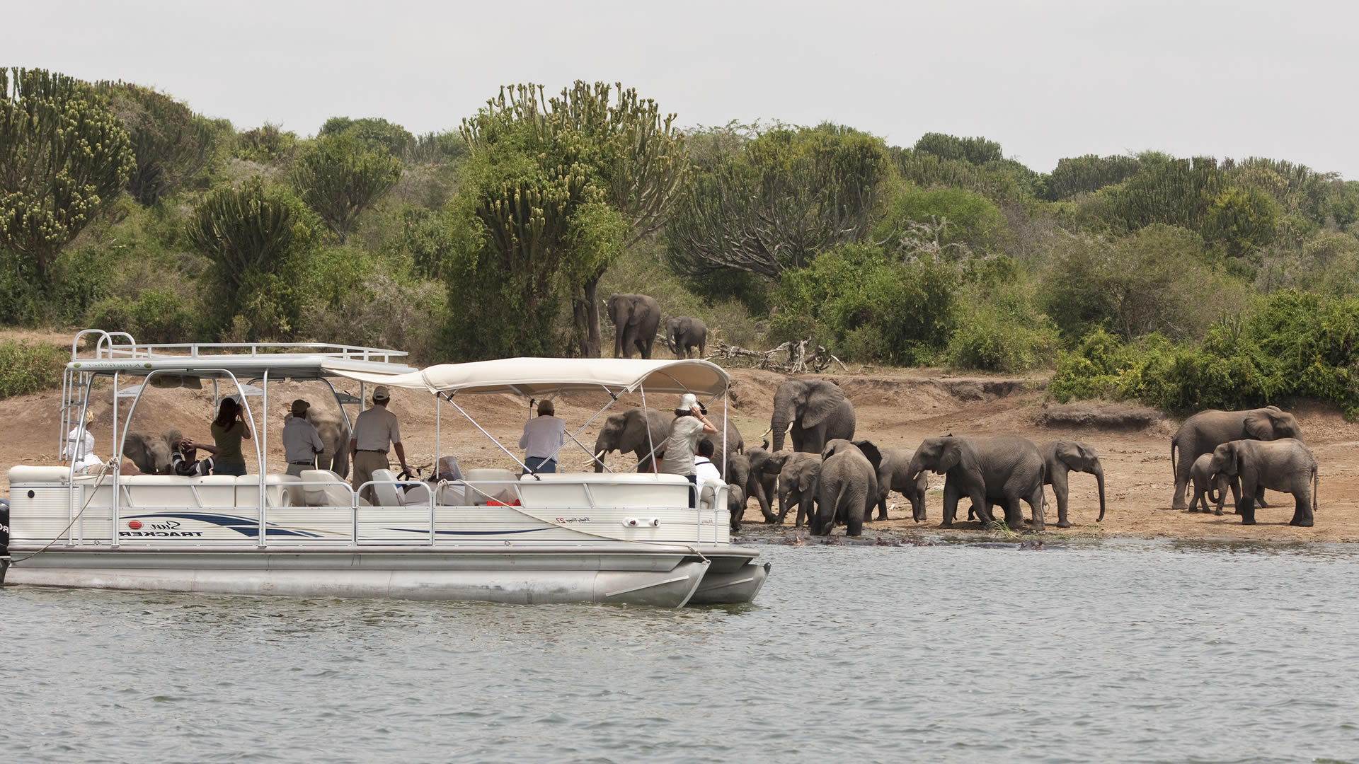 7 days Kibale, Queen Elizabeth and Lake Bunyonyi safari