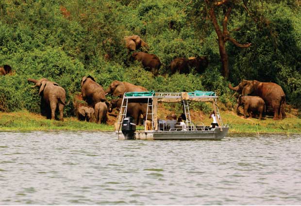 14 Days Uganda Wildlife Experience